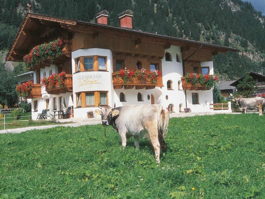 Landhaus Anja Neustift im Stubaital Exterior foto
